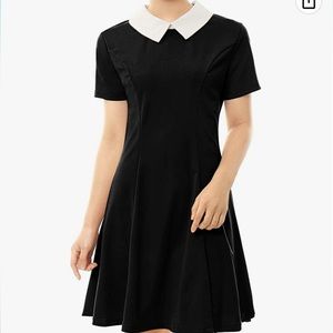 Black dress white collar, women’s size m, never worn, knee length